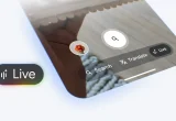 Interfața Google Search Live arată butonul "Live" pentru căutare vizuală și vocală în aplicația Google pe un smartphone, alături de opțiunile Search și Translate, cu o floare roșie în prim-plan.